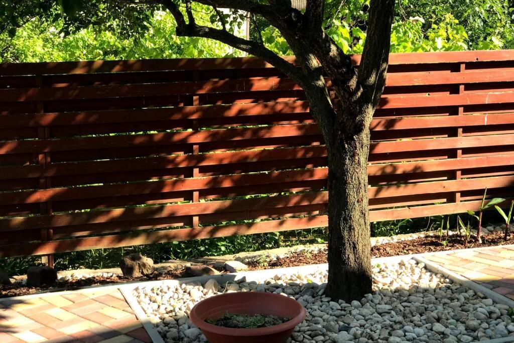'New' Sunkissed Villa On The Old Hill Balatonalmadi Luaran gambar