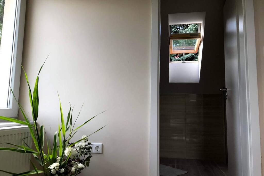 'New' Sunkissed Villa On The Old Hill Balatonalmadi Luaran gambar