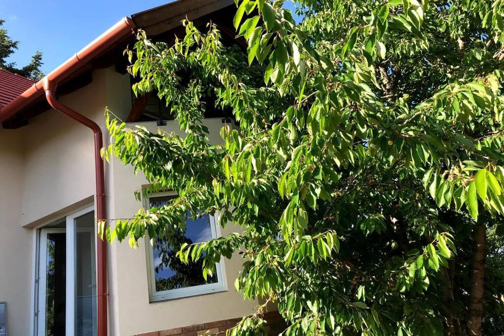'New' Sunkissed Villa On The Old Hill Balatonalmadi Luaran gambar